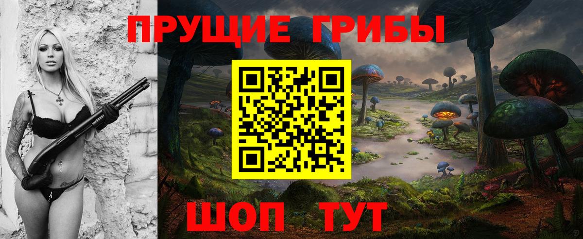 Галлюциногенные грибы ЛСД  дарнет шоп  Галлюциногенные грибы Psilocybe  Черняховск  Вход с VPN 