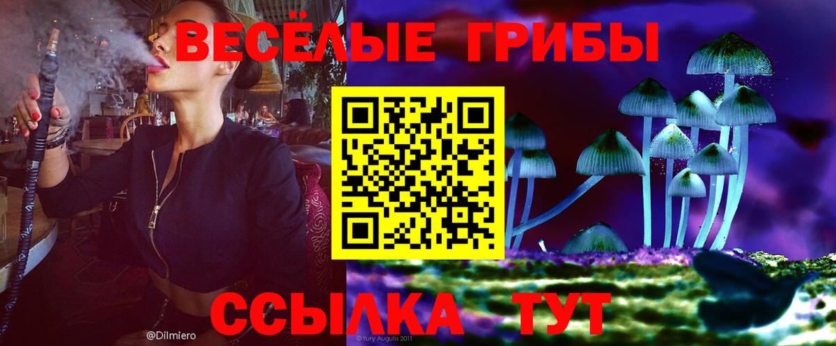 Галлюциногенные грибы мицелий Черняховск